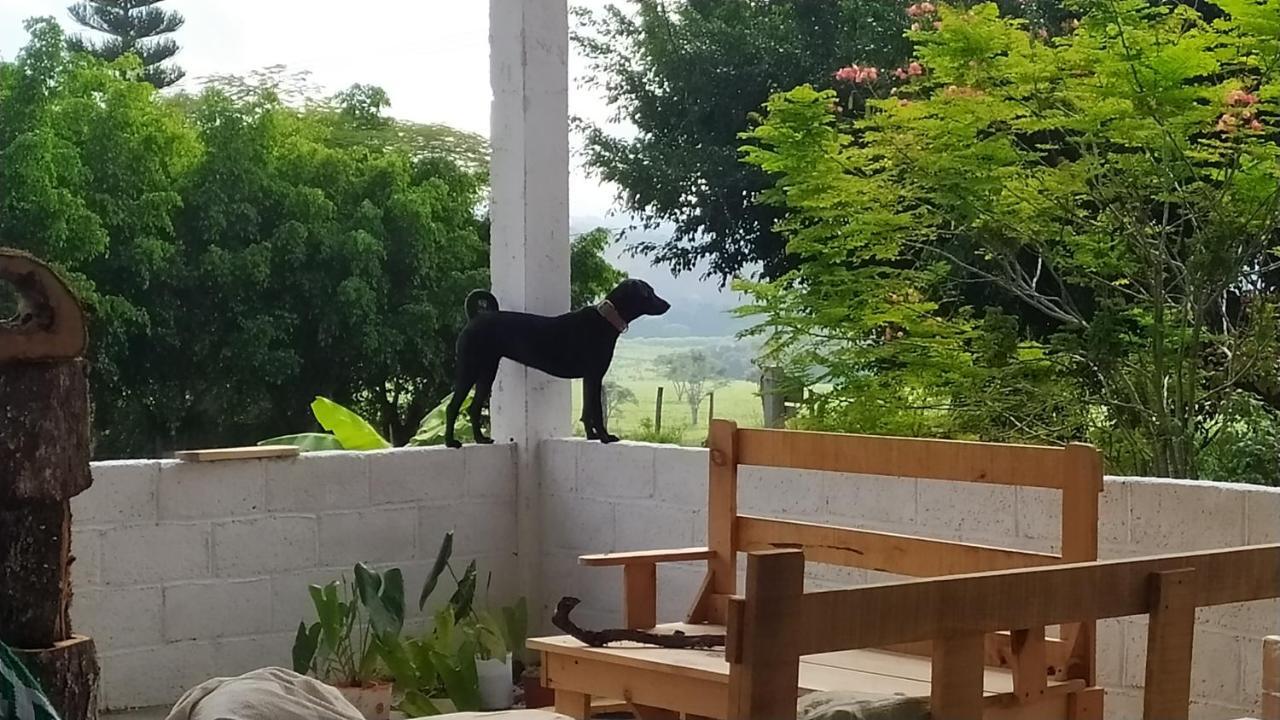Casita Tonina Bed & Breakfast Ocosingo Exterior photo